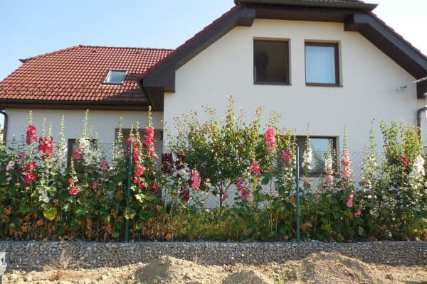 house for sale, 217 m², Záhoří house for sale, 217 m², Záhoří