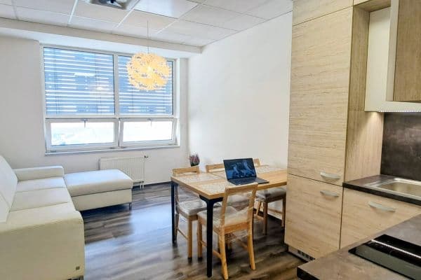 1 bedroom with open-plan kitchen flat to rent, 46 m², Příkop, Brno 1 bedroom with open-plan kitchen flat to rent, 46 m², Příkop, Brno