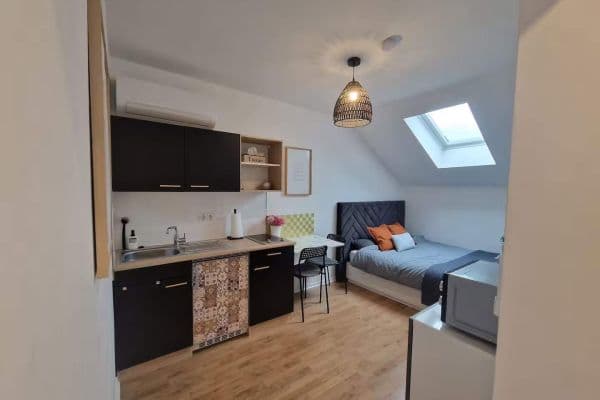 1 bedroom flat to rent, 20 m², Ludwigshafen am Rhein, Rhineland-Palatinate 1 bedroom flat to rent, 20 m², Ludwigshafen am Rhein, Rhineland-Palatinate