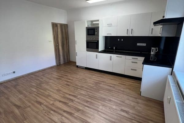 1 bedroom with open-plan kitchen flat to rent, 62 m², Netušilova, Brno 1 bedroom with open-plan kitchen flat to rent, 62 m², Netušilova, Brno