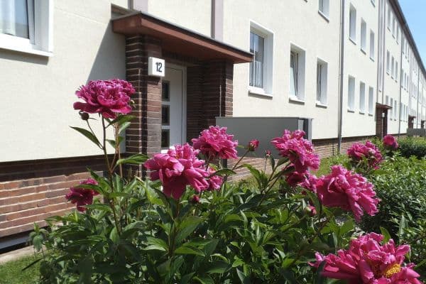 2 bedroom flat to rent, 65 m², Eisnerstraße 6, Magdeburg, Saxony-Anhalt 2 bedroom flat to rent, 65 m², Eisnerstraße 6, Magdeburg, Saxony-Anhalt