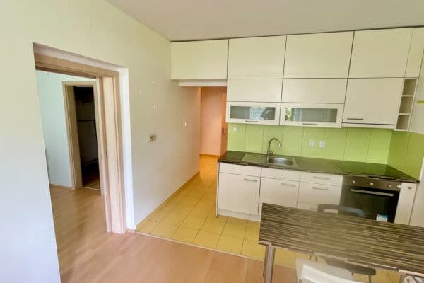 1 bedroom with open-plan kitchen flat to rent, 45 m², Hrázka, Brno 1 bedroom with open-plan kitchen flat to rent, 45 m², Hrázka, Brno