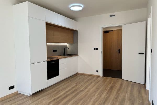 1 bedroom with open-plan kitchen flat to rent, 41 m², Starokošířská, Praha 1 bedroom with open-plan kitchen flat to rent, 41 m², Starokošířská, Praha