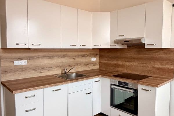 1 bedroom with open-plan kitchen flat to rent, 41 m², Víta Nejedlého, Praha 1 bedroom with open-plan kitchen flat to rent, 41 m², Víta Nejedlého, Praha