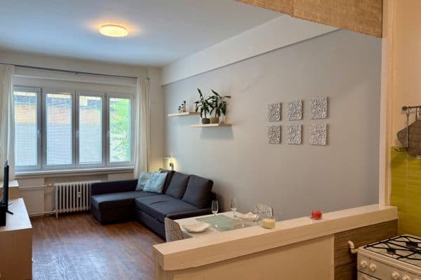 1 bedroom with open-plan kitchen flat to rent, 50 m², Veverkova, Praha 1 bedroom with open-plan kitchen flat to rent, 50 m², Veverkova, Praha