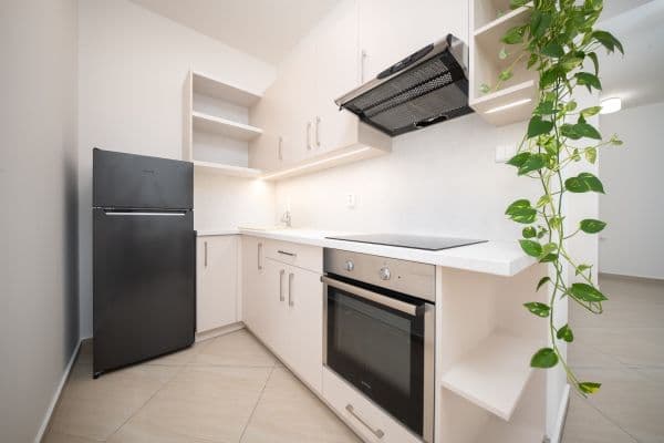 2 bedroom with open-plan kitchen flat to rent, 71 m², Svitavská, Brno 2 bedroom with open-plan kitchen flat to rent, 71 m², Svitavská, Brno