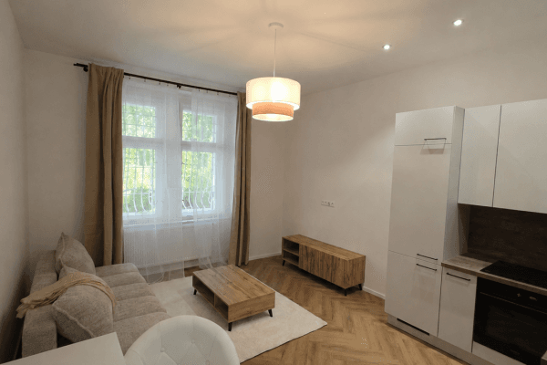 1 bedroom with open-plan kitchen flat to rent, 36 m², Na Kozačce, Praha 1 bedroom with open-plan kitchen flat to rent, 36 m², Na Kozačce, Praha