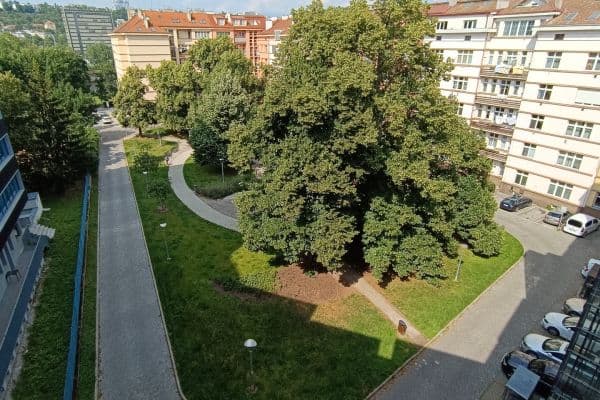 1 bedroom with open-plan kitchen flat to rent, 45 m², U Pergamenky, Praha 1 bedroom with open-plan kitchen flat to rent, 45 m², U Pergamenky, Praha