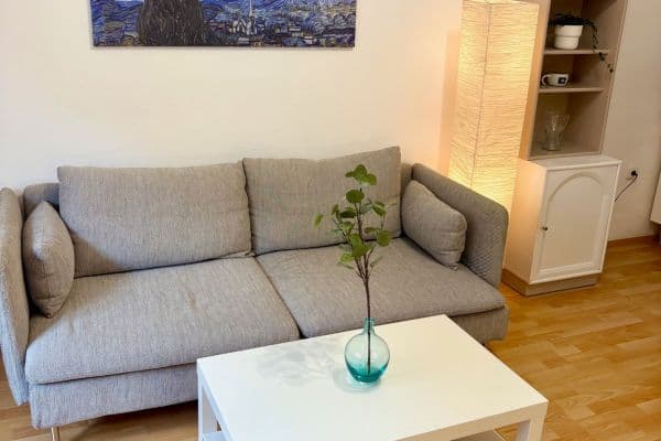 1 bedroom with open-plan kitchen flat to rent, 50 m², Petra Slezáka, Praha 1 bedroom with open-plan kitchen flat to rent, 50 m², Petra Slezáka, Praha