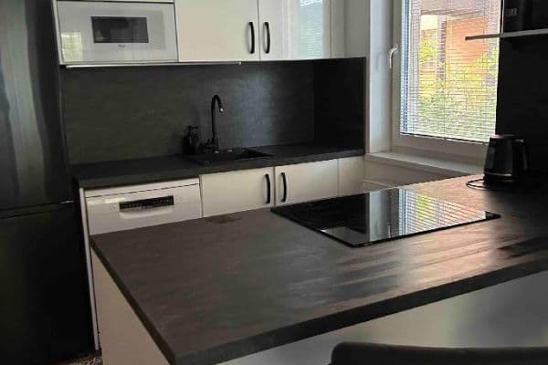 3 bedroom with open-plan kitchen flat for sale, 76 m², Špačková, Plzeň 3 bedroom with open-plan kitchen flat for sale, 76 m², Špačková, Plzeň