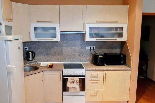 1 bedroom with open-plan kitchen flat to rent, 51 m², Korunní, Praha 1 bedroom with open-plan kitchen flat to rent, 51 m², Korunní, Praha