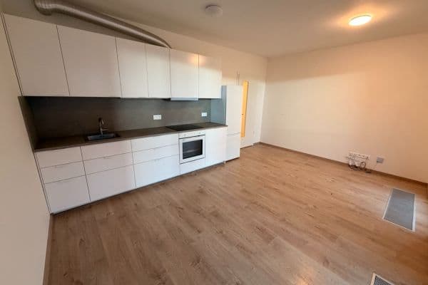 1 bedroom with open-plan kitchen flat to rent, 40 m², Haenkeho, Praha 1 bedroom with open-plan kitchen flat to rent, 40 m², Haenkeho, Praha