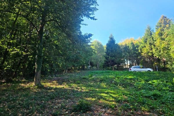 Plot for sale Plot for sale