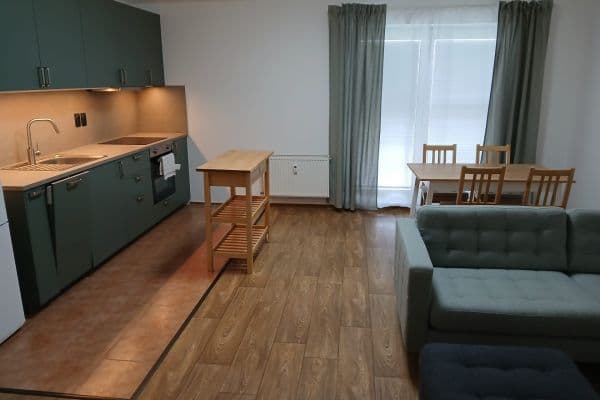 1 bedroom with open-plan kitchen flat to rent, 50 m², Riegrova, SO POÚ Černošice 1 bedroom with open-plan kitchen flat to rent, 50 m², Riegrova, SO POÚ Černošice
