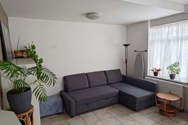 1 bedroom with open-plan kitchen flat to rent, 75 m², Nad Lesem, Praha 1 bedroom with open-plan kitchen flat to rent, 75 m², Nad Lesem, Praha