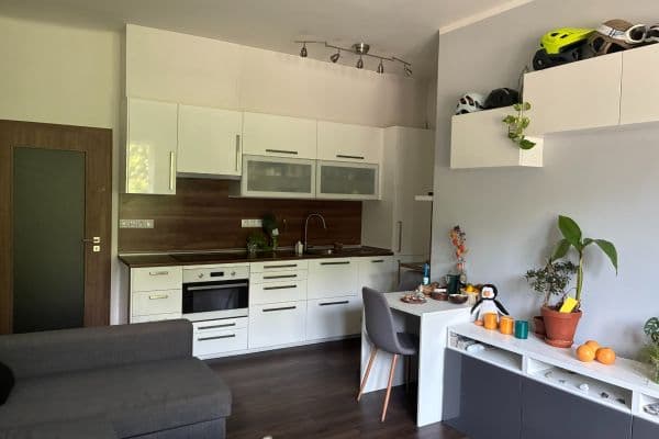 1 bedroom with open-plan kitchen flat to rent, 45 m², Hájkova, Praha 1 bedroom with open-plan kitchen flat to rent, 45 m², Hájkova, Praha