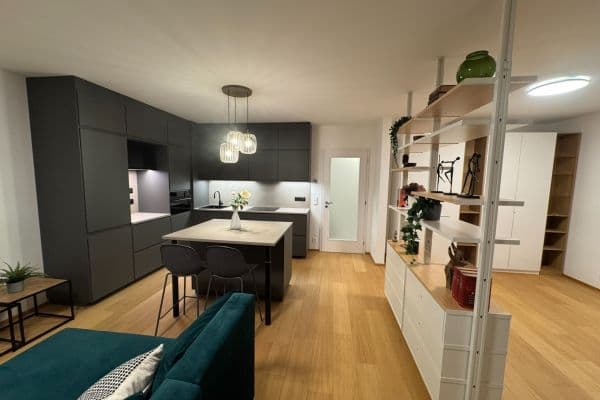 1 bedroom with open-plan kitchen flat to rent, 53 m², Za Pískovnou, Praha 1 bedroom with open-plan kitchen flat to rent, 53 m², Za Pískovnou, Praha