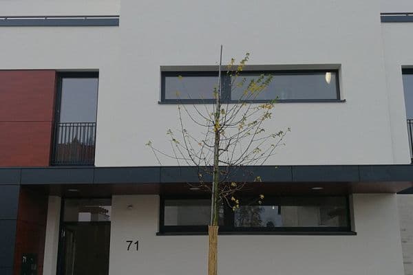 2 bedroom flat to rent, 64 m², Kattreinstraße 71, Darmstadt 2 bedroom flat to rent, 64 m², Kattreinstraße 71, Darmstadt