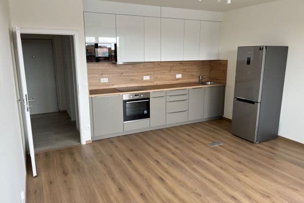 1 bedroom with open-plan kitchen flat to rent, 52 m², Sedlářova, Praha 1 bedroom with open-plan kitchen flat to rent, 52 m², Sedlářova, Praha