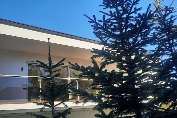 5 bedroom flat to rent, 140 m², Hasselroth 5 bedroom flat to rent, 140 m², Hasselroth