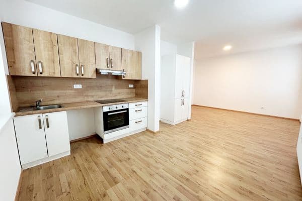 1 bedroom with open-plan kitchen flat to rent, 56 m², Palackého, Velim 1 bedroom with open-plan kitchen flat to rent, 56 m², Palackého, Velim