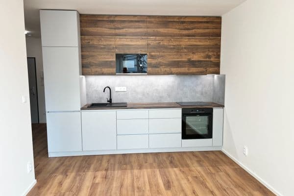 1 bedroom with open-plan kitchen flat to rent, 49 m², Kaštýlek, Ždánice 1 bedroom with open-plan kitchen flat to rent, 49 m², Kaštýlek, Ždánice