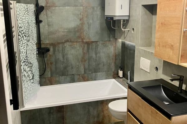 1 bedroom with open-plan kitchen flat to rent, 48 m², Erbenova, Brno 1 bedroom with open-plan kitchen flat to rent, 48 m², Erbenova, Brno