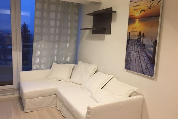 1 bedroom with open-plan kitchen flat to rent, 38 m², Březová, Brno 1 bedroom with open-plan kitchen flat to rent, 38 m², Březová, Brno