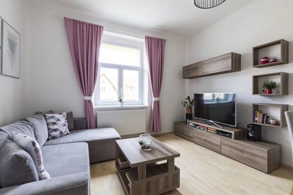 1 bedroom with open-plan kitchen flat to rent, 50 m², V Domově, Praha 1 bedroom with open-plan kitchen flat to rent, 50 m², V Domově, Praha