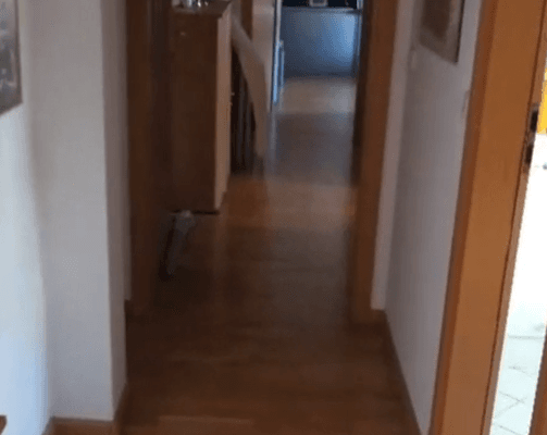 4 bedroom flat to rent, 93 m², Lessingstraße 28, Halle (Saale) 4 bedroom flat to rent, 93 m², Lessingstraße 28, Halle (Saale)