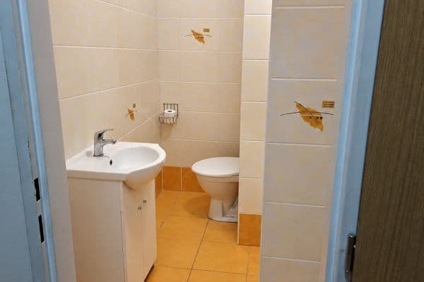 1 bedroom with open-plan kitchen flat for sale, 39 m², Kubínova, SO POÚ Litoměřice 1 bedroom with open-plan kitchen flat for sale, 39 m², Kubínova, SO POÚ Litoměřice