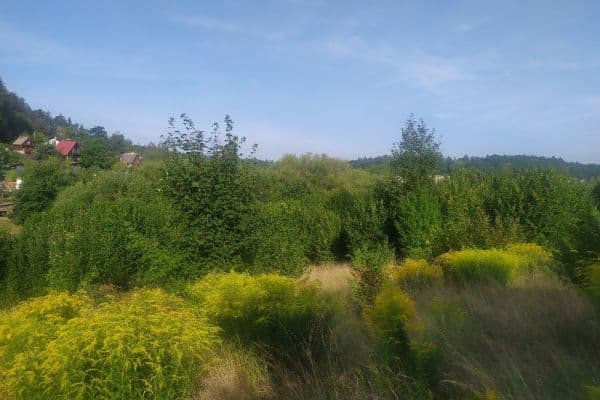 Plot for sale Plot for sale