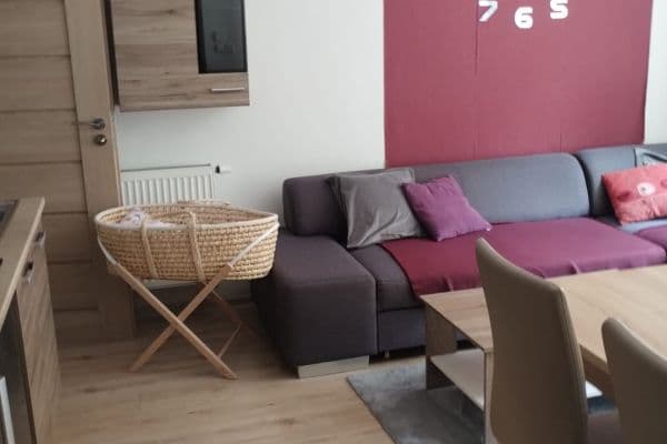 1 bedroom with open-plan kitchen flat to rent, 35 m², Všemina 1 bedroom with open-plan kitchen flat to rent, 35 m², Všemina