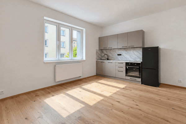 1 bedroom with open-plan kitchen flat to rent, 47 m², Pod Drinopolem, Praha 1 bedroom with open-plan kitchen flat to rent, 47 m², Pod Drinopolem, Praha