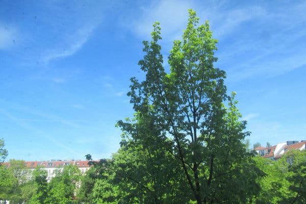 2 bedroom flat to rent, 50 m², Berlin, Berlin 2 bedroom flat to rent, 50 m², Berlin, Berlin