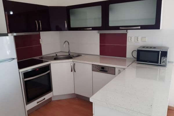 1 bedroom with open-plan kitchen flat to rent, 56 m², Mattioliho, Praha 1 bedroom with open-plan kitchen flat to rent, 56 m², Mattioliho, Praha
