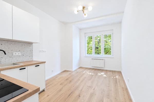 Studio flat to rent, 23 m², Petrohradská, Praha Studio flat to rent, 23 m², Petrohradská, Praha