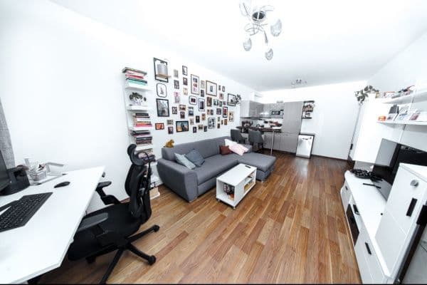 1 bedroom with open-plan kitchen flat to rent, 50 m², Makedonská, Praha 1 bedroom with open-plan kitchen flat to rent, 50 m², Makedonská, Praha
