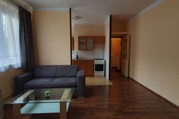 1 bedroom with open-plan kitchen flat to rent, 38 m², Humpolecká, Praha 1 bedroom with open-plan kitchen flat to rent, 38 m², Humpolecká, Praha