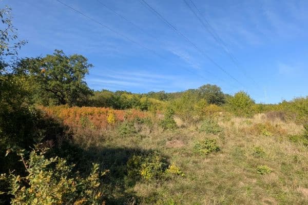 plot for sale, 22,542 m², Korno plot for sale, 22,542 m², Korno