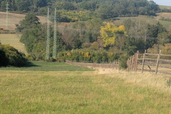 plot for sale, 31,766 m², Korno plot for sale, 31,766 m², Korno