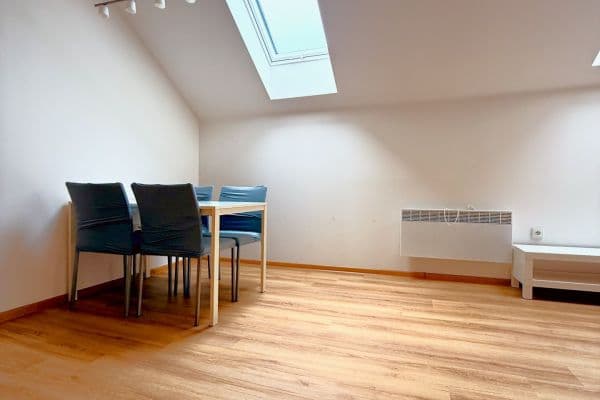 1 bedroom with open-plan kitchen flat for sale, 62 m², Stará, Brno 1 bedroom with open-plan kitchen flat for sale, 62 m², Stará, Brno