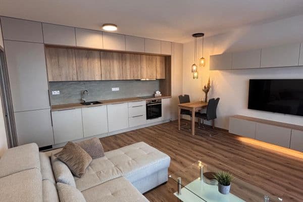 1 bedroom with open-plan kitchen flat to rent, 48 m², Chvalovka, Brno 1 bedroom with open-plan kitchen flat to rent, 48 m², Chvalovka, Brno