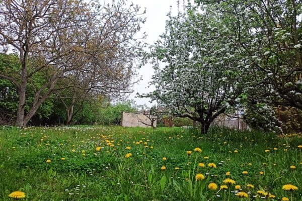 Plot for sale Plot for sale