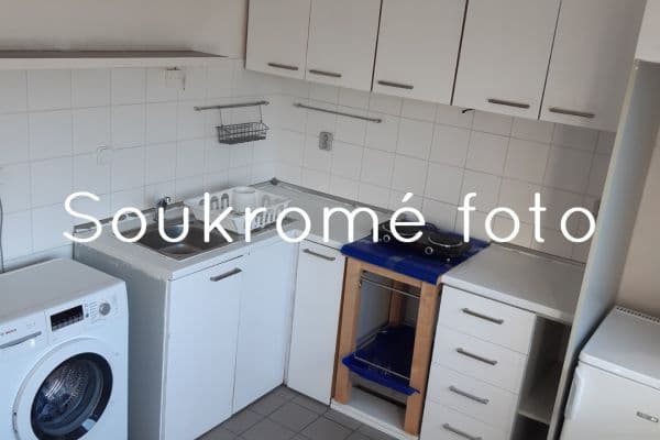 1 bedroom with open-plan kitchen flat to rent, 45 m², Heinemannova, Praha 1 bedroom with open-plan kitchen flat to rent, 45 m², Heinemannova, Praha
