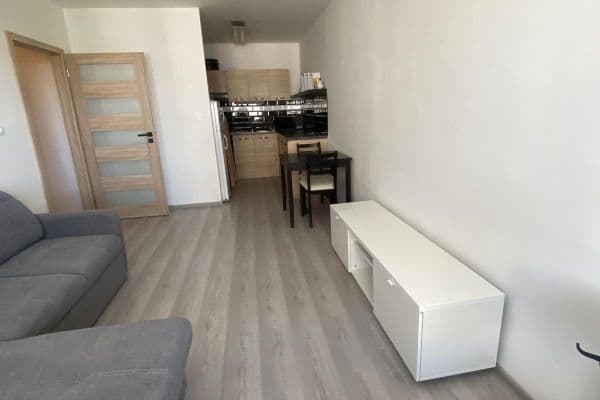1 bedroom with open-plan kitchen flat to rent, 44 m², Hackerova, Praha 1 bedroom with open-plan kitchen flat to rent, 44 m², Hackerova, Praha