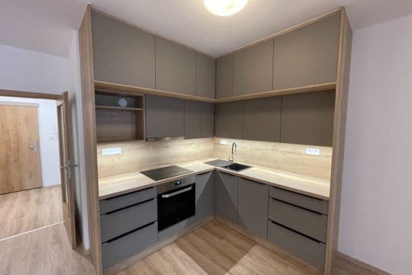 1 bedroom with open-plan kitchen flat to rent, 65 m², U Sportovní školy, Pardubice 1 bedroom with open-plan kitchen flat to rent, 65 m², U Sportovní školy, Pardubice