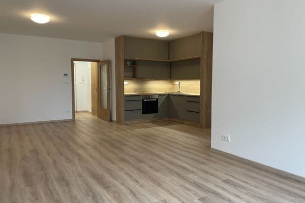 1 bedroom with open-plan kitchen flat to rent, 65 m², U Sportovní školy, Pardubice 1 bedroom with open-plan kitchen flat to rent, 65 m², U Sportovní školy, Pardubice