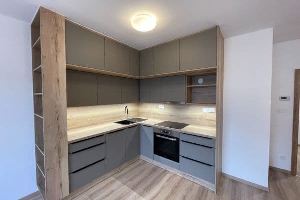 1 bedroom with open-plan kitchen flat to rent, 59 m², U Sportovní školy, Pardubice 1 bedroom with open-plan kitchen flat to rent, 59 m², U Sportovní školy, Pardubice