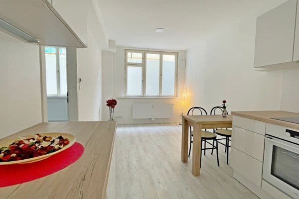 1 bedroom with open-plan kitchen flat for sale, 42 m², Sokolovská, Praha 1 bedroom with open-plan kitchen flat for sale, 42 m², Sokolovská, Praha